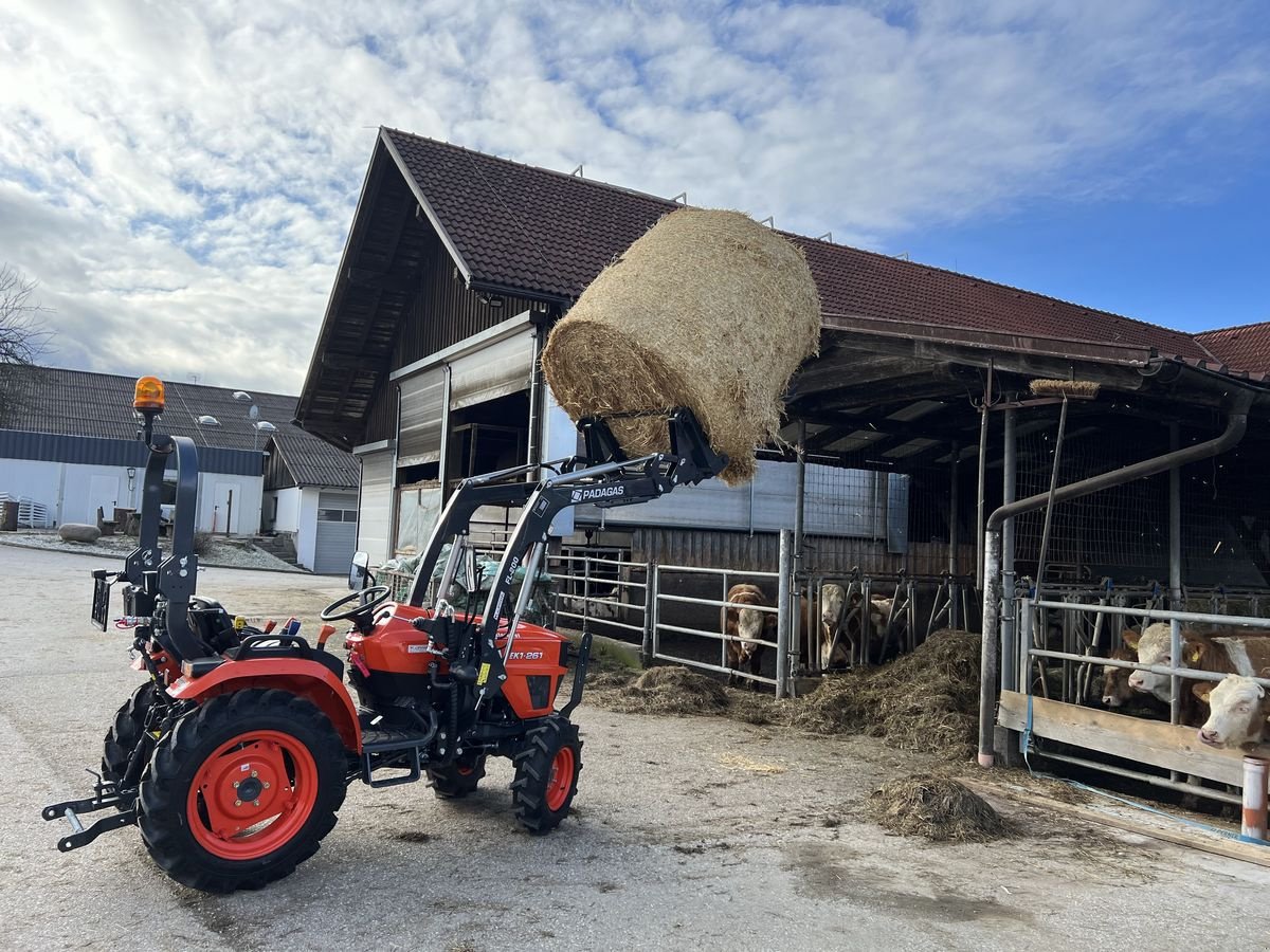 Frontlader a típus Sonstige PADAGAS FL-200S2, Neumaschine ekkor: NATTERNBACH (Kép 12)