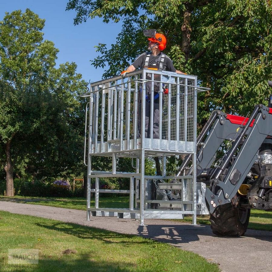 Frontladerzubehör (Bagger) a típus Fliegl Arbeitskorb mit Erhöhung Euro und Palettengabel, Neumaschine ekkor: Burgkirchen (Kép 10)