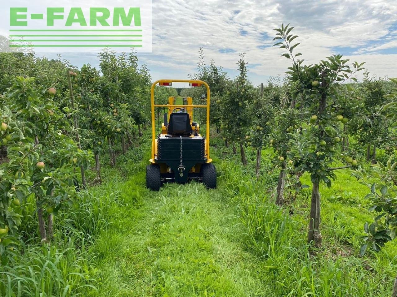 Frontstapler of the type Eurotrac cpcd10 / agri10, Gebrauchtmaschine in SALZBURG (Picture 19)