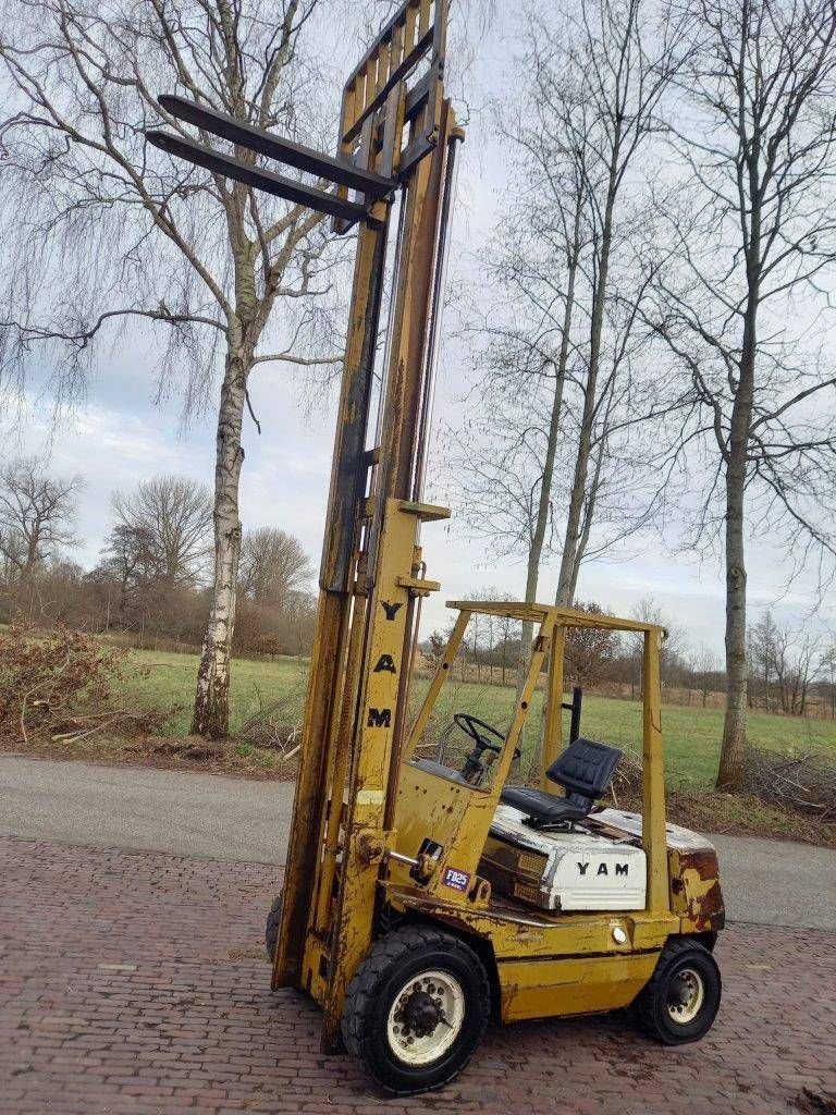 Frontstapler of the type Sonstige Yam FD25, Gebrauchtmaschine in Antwerpen (Picture 11)