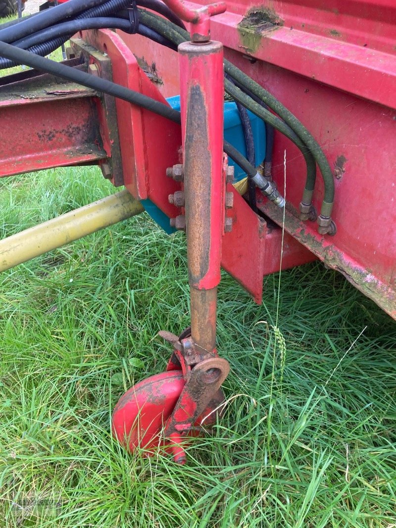 Futterverteilwagen of the type Schuitemaker Amigo 40, Gebrauchtmaschine in Wiefelstede-Spohle (Picture 11)