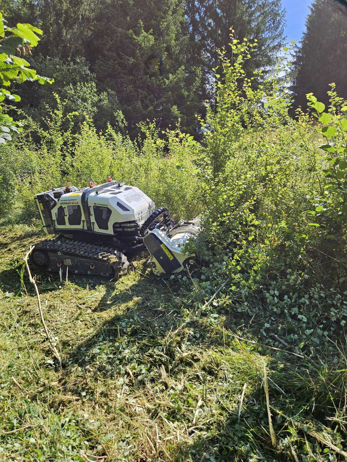 Geräteträger του τύπου Hymach Herby, Gebrauchtmaschine σε waidhofen an der ybbs  (Φωτογραφία 1)