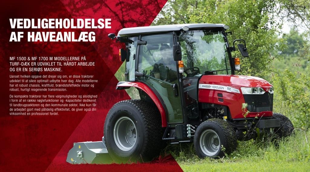 Geräteträger Türe ait Massey Ferguson 1735-40-50-65M M-HC hydrostatisk fremdrift, Gebrauchtmaschine içinde Ringe (resim 4)