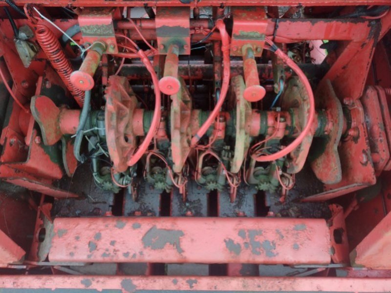 Großpackenpresse tip Massey Ferguson 185. Årg. 2004, Gebrauchtmaschine in øster ulslev (Poză 4)