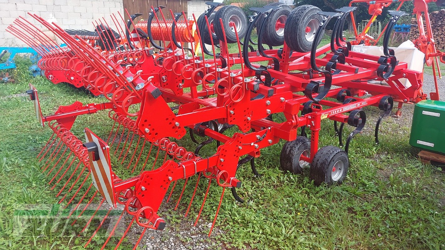 Grubber of the type Agri Farm Bio Eurocult 5m, Gebrauchtmaschine in Altenschönbach (Picture 1)