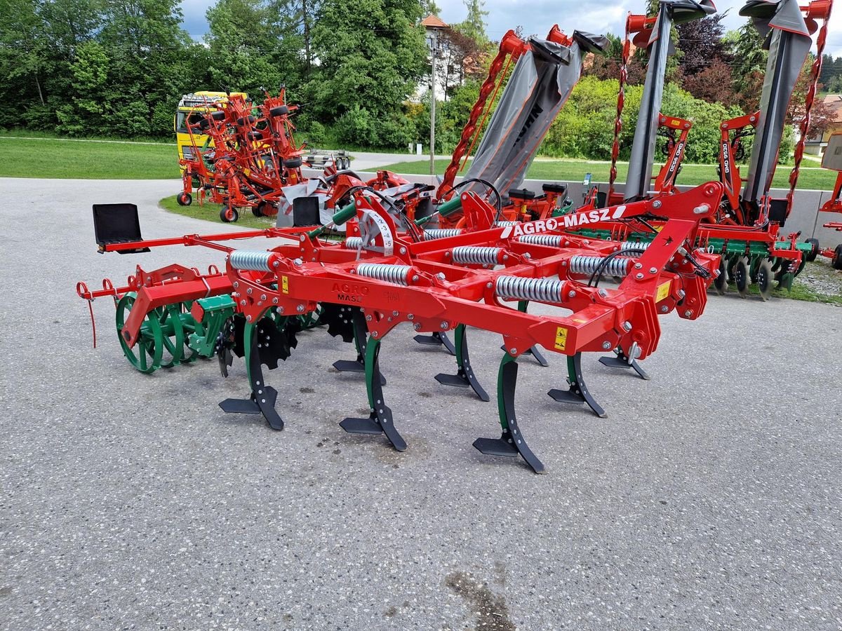 Grubber del tipo Agro-Masz RUNNER 30 Non Stop Steinsicherung, Gebrauchtmaschine en Grünbach (Imagen 1)