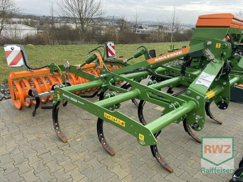 Grubber del tipo Amazone Cenio 3000 Special, Vorführmaschine In Diez (Immagine 1)