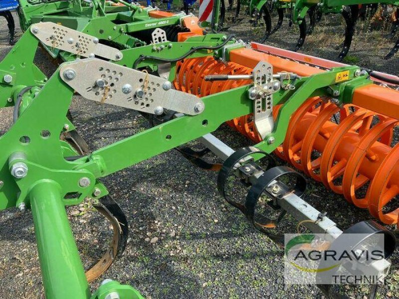 Grubber del tipo Amazone CENIO 3003 SPECIAL, Neumaschine en Northeim (Imagen 5)