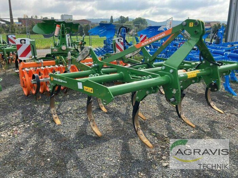 Grubber Türe ait Amazone CENIO 3003 SPECIAL, Neumaschine içinde Northeim (resim 3)