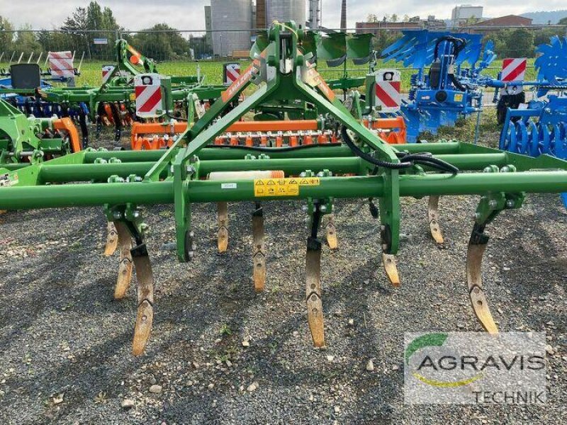 Grubber от тип Amazone CENIO 3003 SPECIAL, Neumaschine в Northeim (Снимка 2)