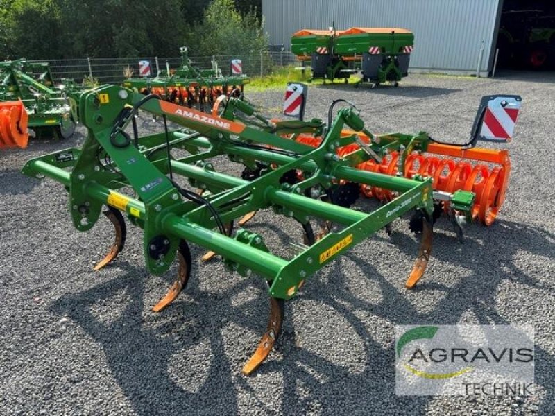 Grubber typu Amazone CENIO 3003 SPECIAL, Vorführmaschine v Meppen-Versen (Obrázok 1)