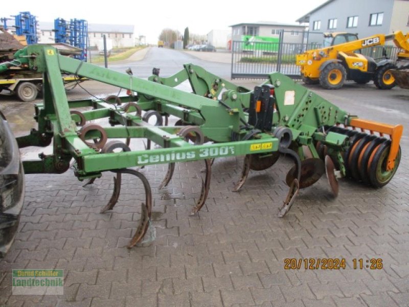 Grubber van het type Amazone Cenius 3001, Gebrauchtmaschine in Büren (Foto 1)