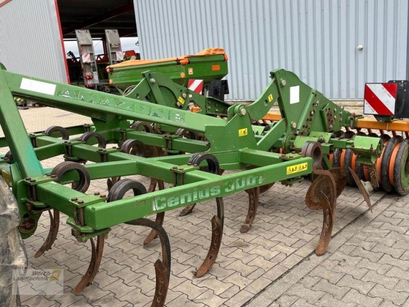 Grubber del tipo Amazone Cenius 3001, Gebrauchtmaschine en Schora (Imagen 1)