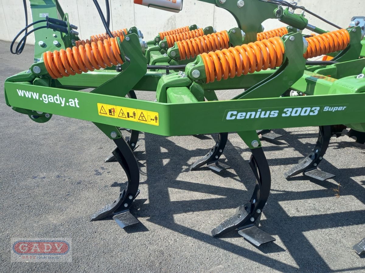 Grubber del tipo Amazone CENIUS 3003 MULCHGRUBBER, Neumaschine en Lebring (Imagen 9)