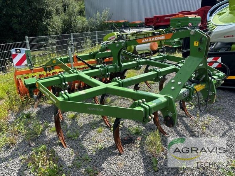 Grubber typu Amazone CENIUS 3003 SPECIAL, Gebrauchtmaschine w Meppen (Zdjęcie 2)