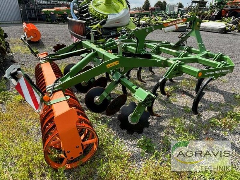 Grubber del tipo Amazone CENIUS 3003 SPECIAL, Gebrauchtmaschine en Meppen (Imagen 3)