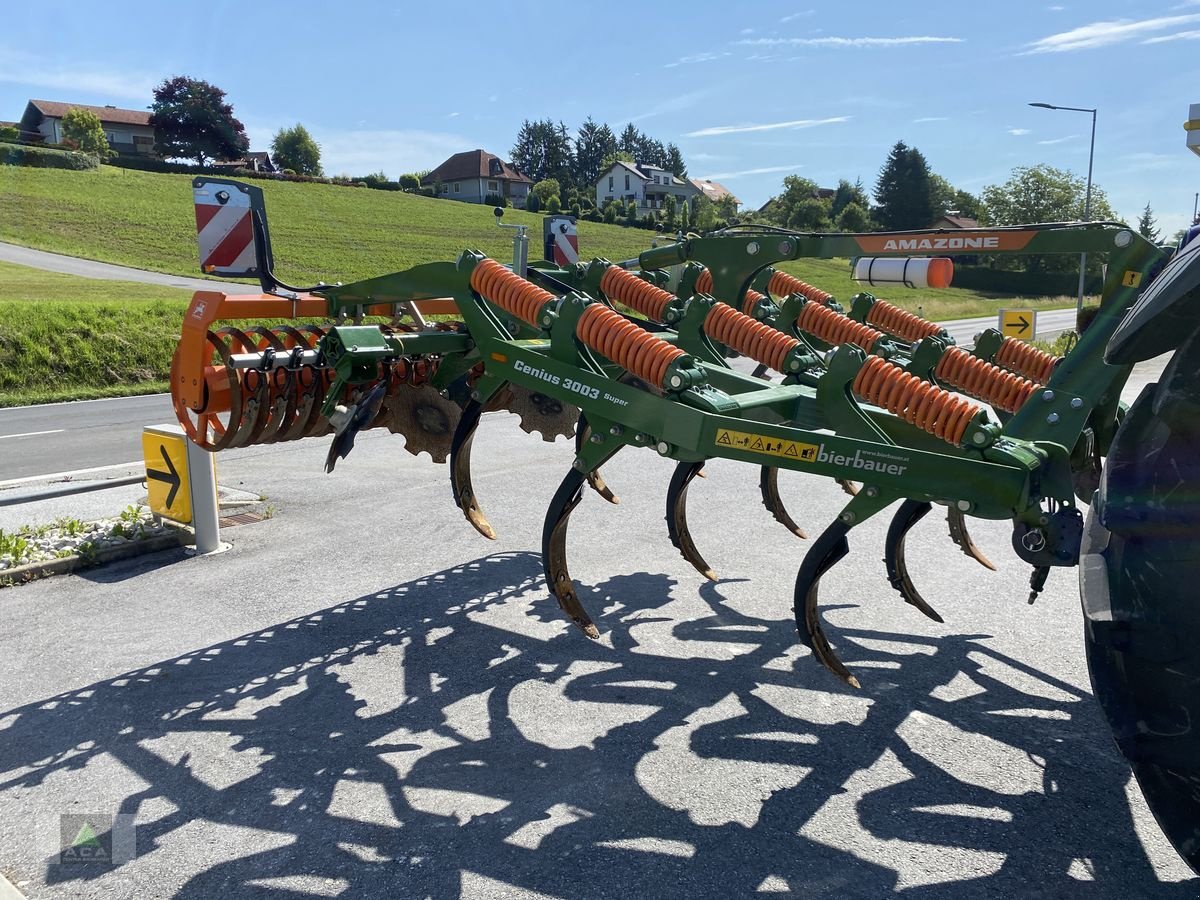 Grubber typu Amazone Cenius 3003 Super, Vorführmaschine w Markt Hartmannsdorf (Zdjęcie 2)