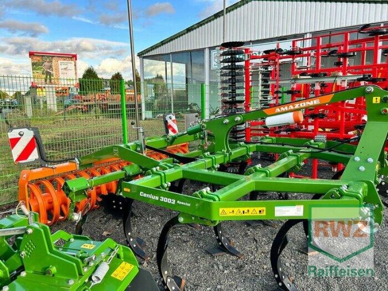 Grubber del tipo Amazone Cenius 3003, Vorführmaschine en Bornheim-Roisdorf (Imagen 1)