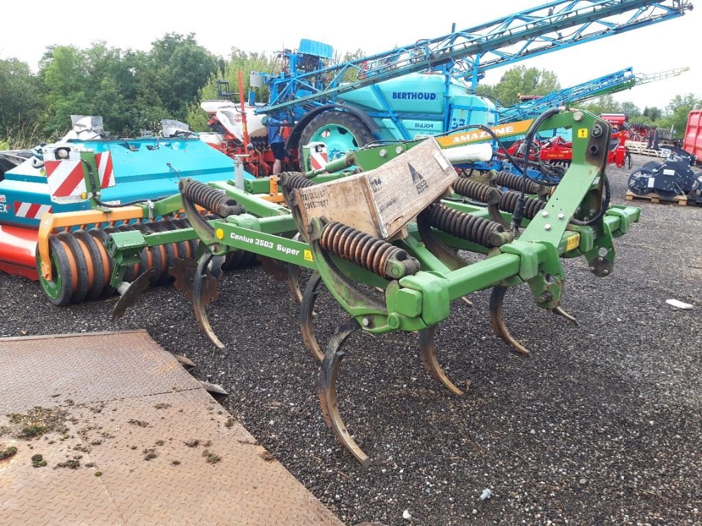 Grubber of the type Amazone CENIUS 3503 SUPER, Gebrauchtmaschine in CHEVILLON  (MAIZEROY) (Picture 1)