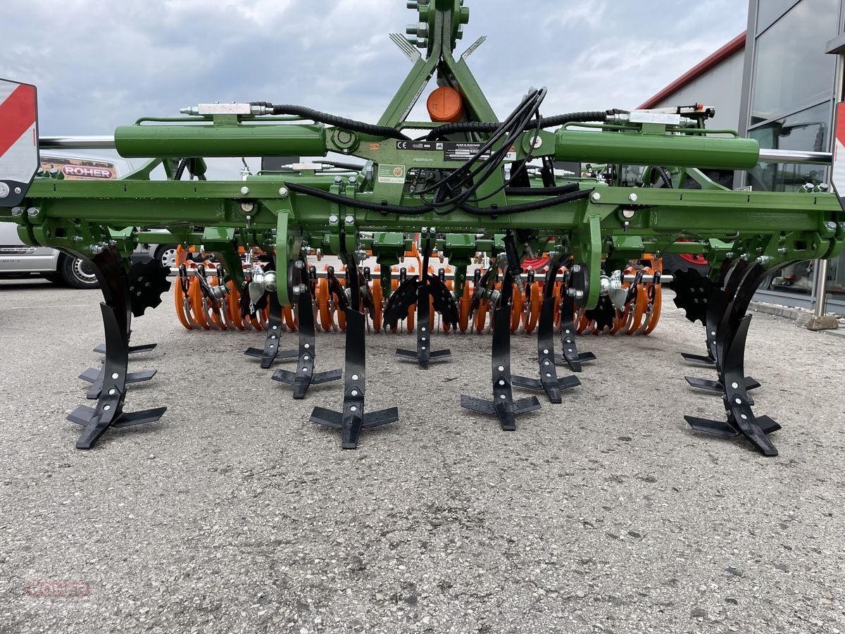 Grubber of the type Amazone Cenius 4003-2 Special, Neumaschine in Wieselburg Land (Picture 16)