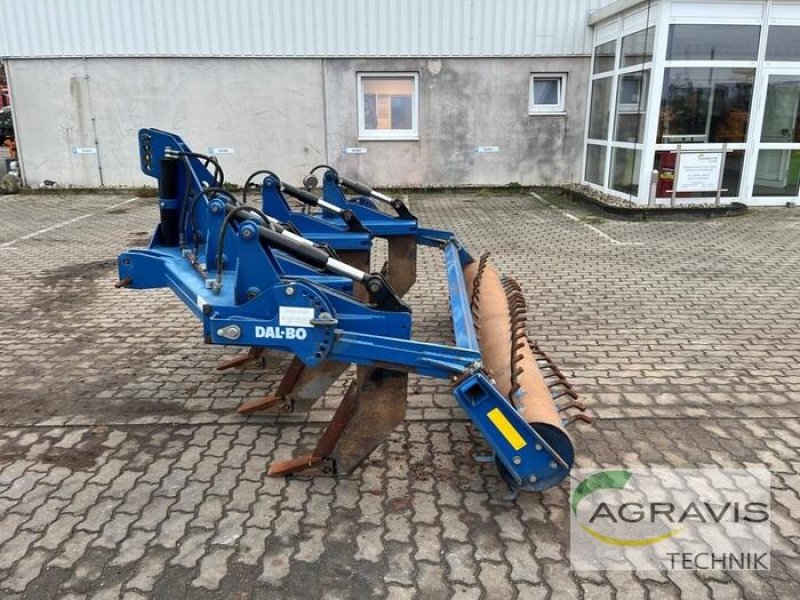 Grubber del tipo Dalbo RATOON XL NSH, Gebrauchtmaschine en Calbe / Saale (Imagen 6)