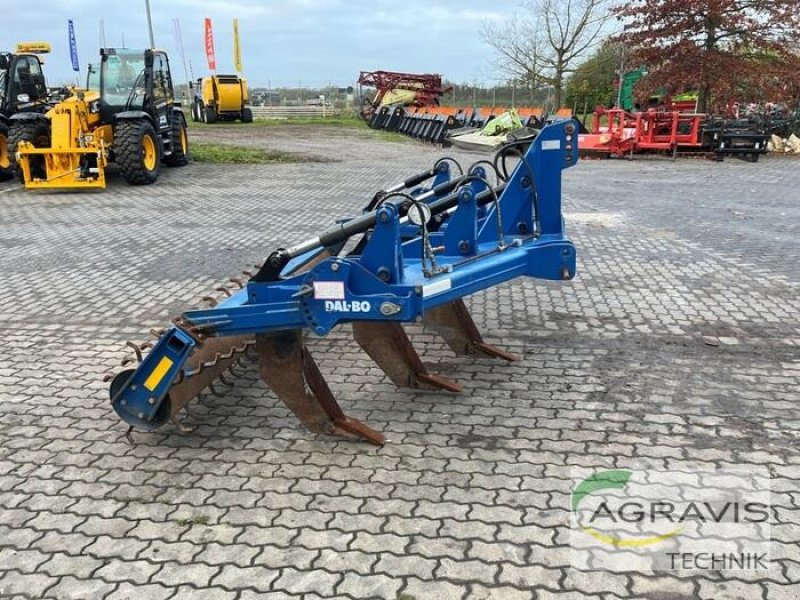 Grubber del tipo Dalbo RATOON XL NSH, Gebrauchtmaschine en Calbe / Saale (Imagen 2)