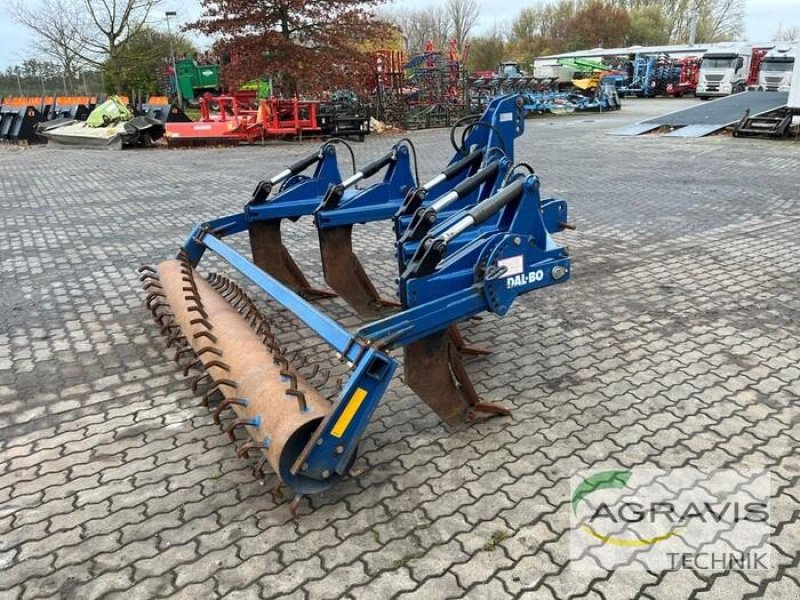 Grubber del tipo Dalbo RATOON XL NSH, Gebrauchtmaschine en Calbe / Saale (Imagen 3)