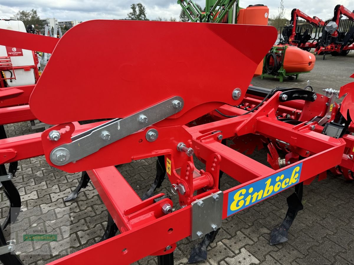 Grubber del tipo Einböck Hurricane 300 RP 58, Neumaschine en Hartberg (Imagen 3)