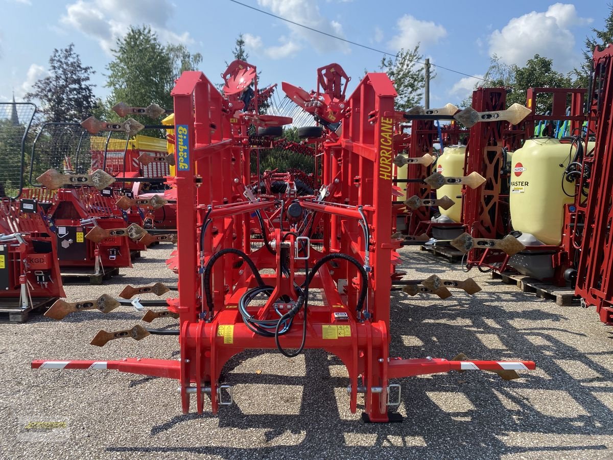 Grubber del tipo Einböck HURRICANE 420 R5, Vorführmaschine In Senftenbach (Immagine 7)