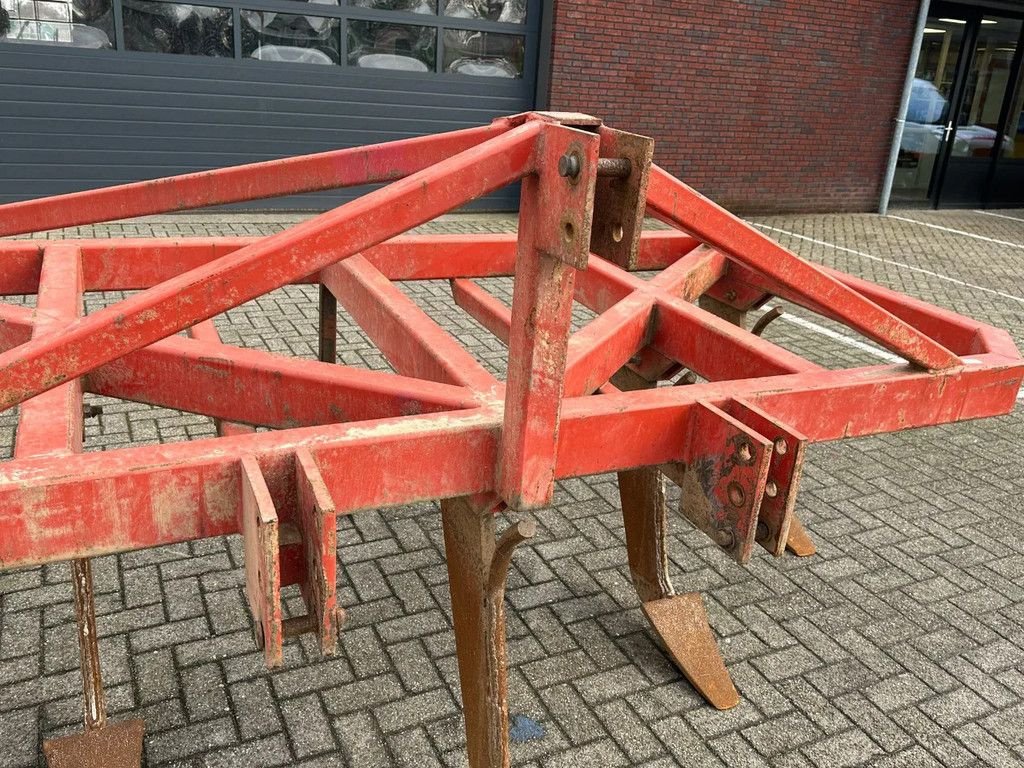 Grubber des Typs Evers 5 tands Cultivator, Gebrauchtmaschine in BENNEKOM (Bild 11)