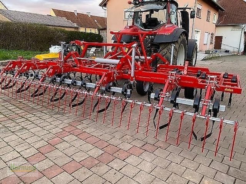 Grubber typu Evers DALES, Vorführmaschine v Unterschneidheim-Zöbingen (Obrázok 1)