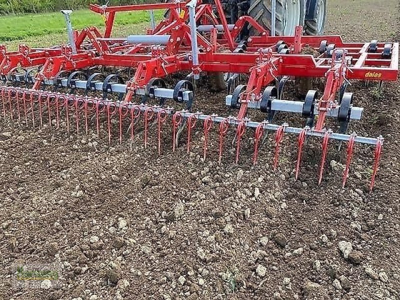 Grubber van het type Evers DALES, Vorführmaschine in Unterschneidheim-Zöbingen (Foto 9)