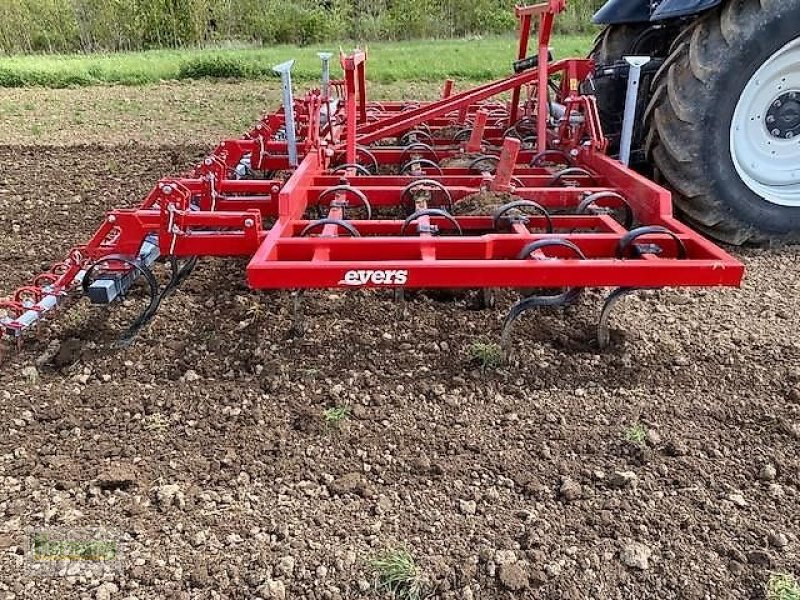 Grubber van het type Evers DALES, Vorführmaschine in Unterschneidheim-Zöbingen (Foto 11)