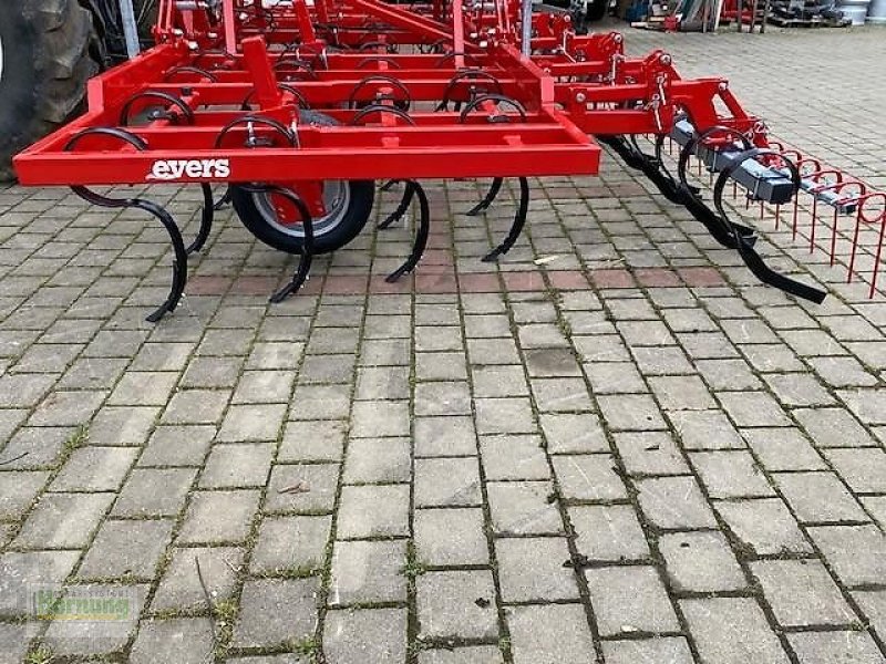 Grubber typu Evers DALES, Gebrauchtmaschine w Unterschneidheim-Zöbingen