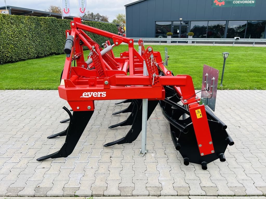 Grubber tip Evers Forest 11-303-2R62, Neumaschine in Coevorden (Poză 8)