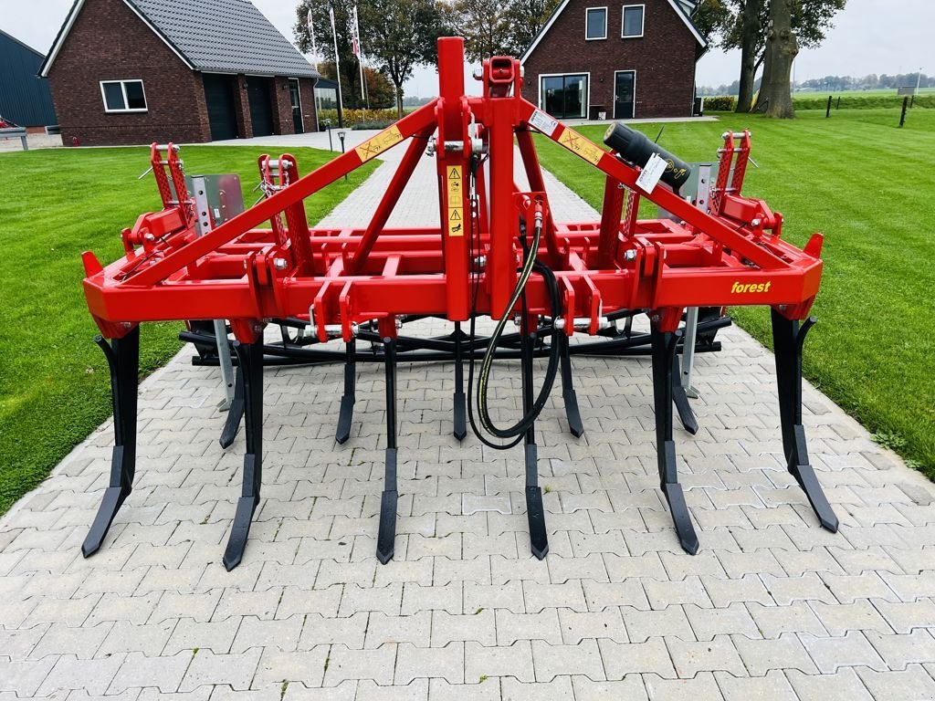 Grubber tip Evers Forest 11-303-2R62, Neumaschine in Coevorden (Poză 2)