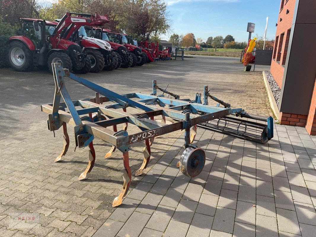 Grubber typu Frost 2,5 Meter, Gebrauchtmaschine w Lippetal / Herzfeld (Zdjęcie 4)