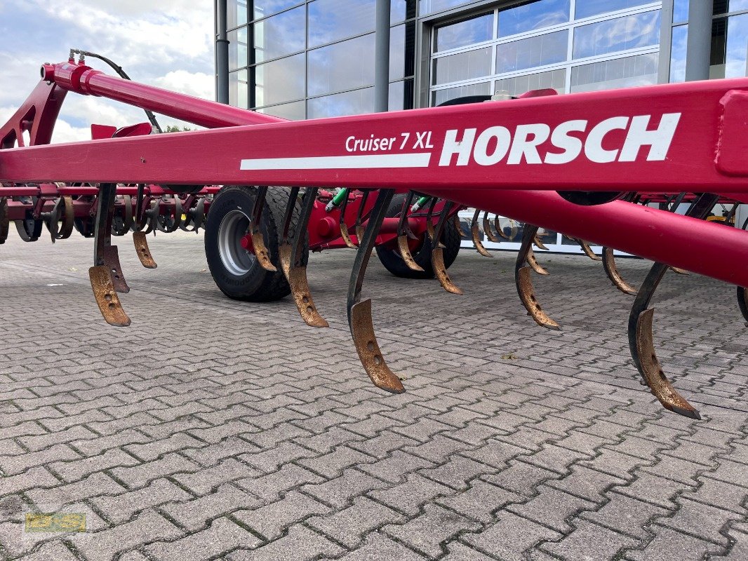 Grubber del tipo Horsch CRUISER 7 XL, Gebrauchtmaschine In Grabow (Immagine 11)