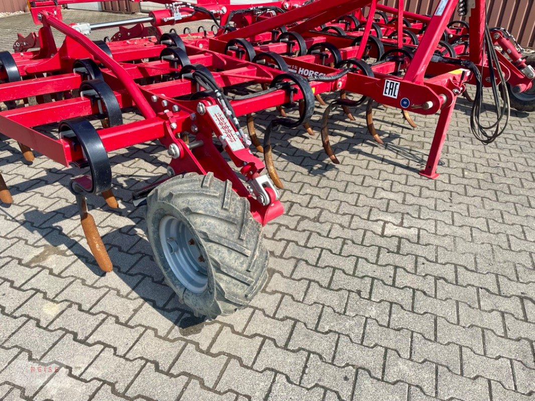 Grubber del tipo Horsch FINER 5 SL, Neumaschine en Werne (Imagen 3)