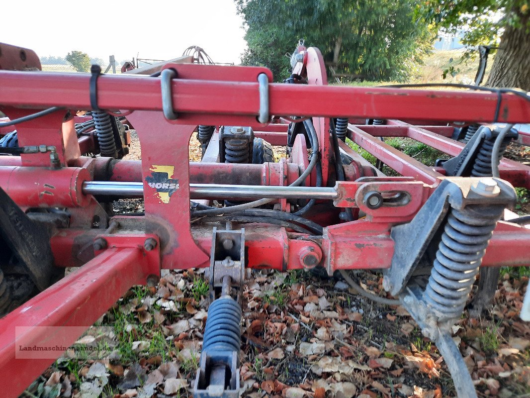 Grubber a típus Horsch Terrano 10 FG + Optipack, Gebrauchtmaschine ekkor: Burg/Spreewald (Kép 10)