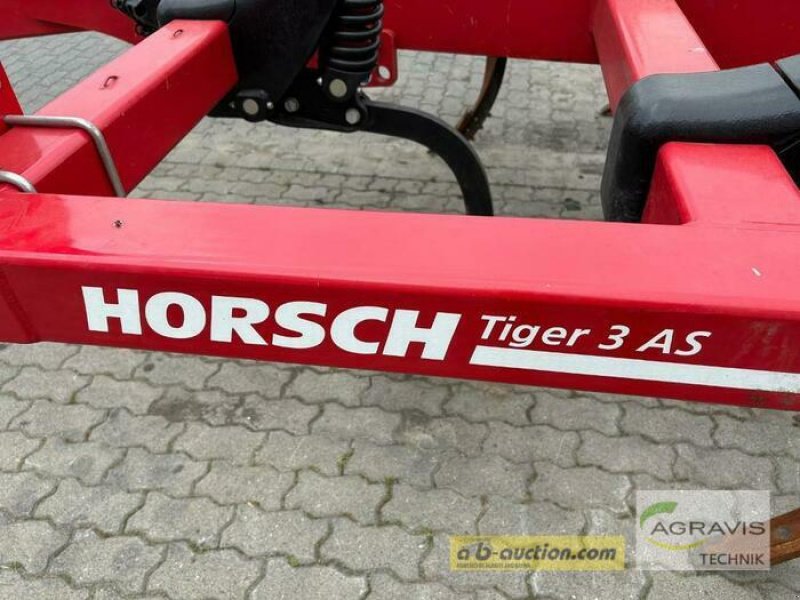 Grubber του τύπου Horsch TIGER 3 AS, Gebrauchtmaschine σε Calbe / Saale (Φωτογραφία 10)