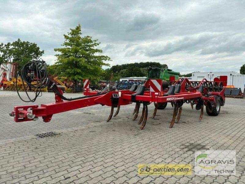 Grubber tipa Horsch TIGER 3 AS, Gebrauchtmaschine u Calbe / Saale (Slika 1)