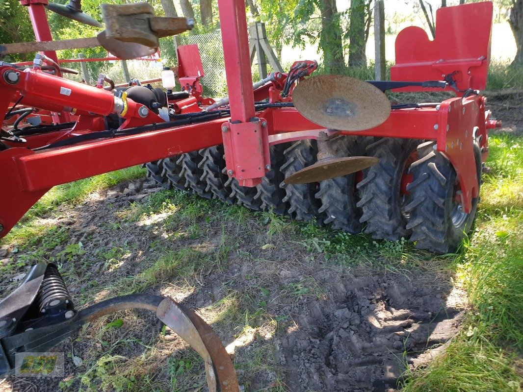 Grubber del tipo Horsch Tiger 5AS, Gebrauchtmaschine en Schenkenberg (Imagen 5)