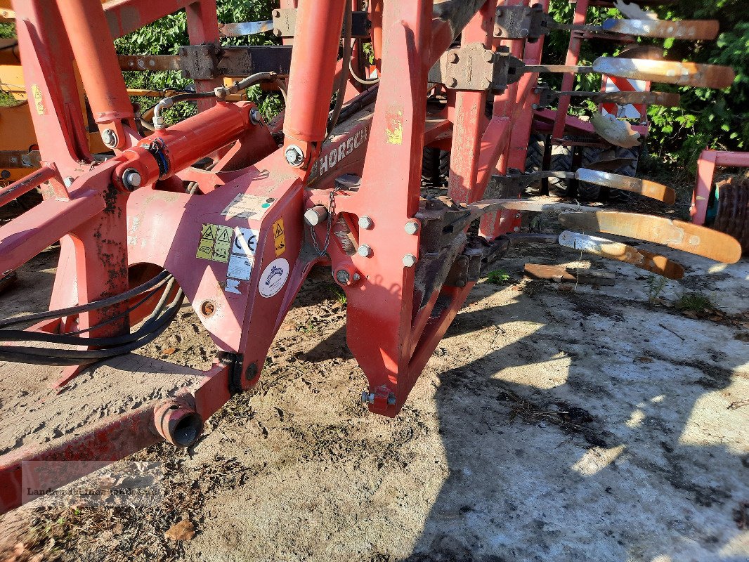 Grubber a típus Horsch Tiger 6 AS, Gebrauchtmaschine ekkor: Burg/Spreewald (Kép 3)