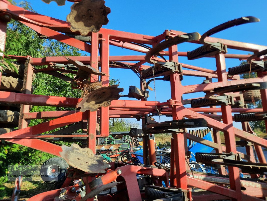 Grubber of the type Horsch Tiger 6 AS, Gebrauchtmaschine in Burg/Spreewald (Picture 8)