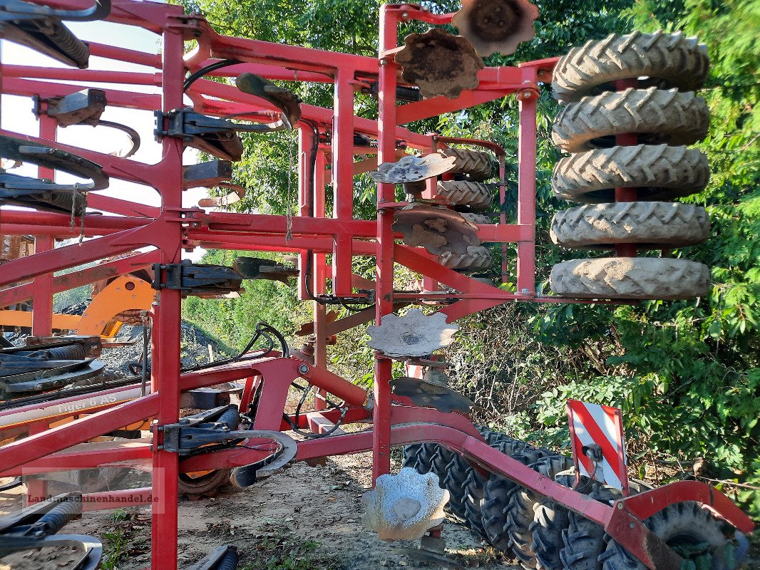 Grubber типа Horsch Tiger 6 AS, Gebrauchtmaschine в Burg/Spreewald (Фотография 4)