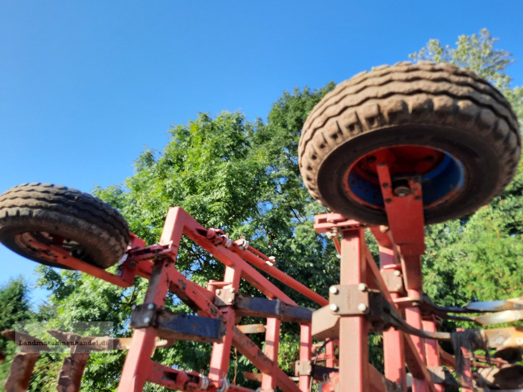 Grubber Türe ait Horsch Tiger 6 AS, Gebrauchtmaschine içinde Burg/Spreewald (resim 5)