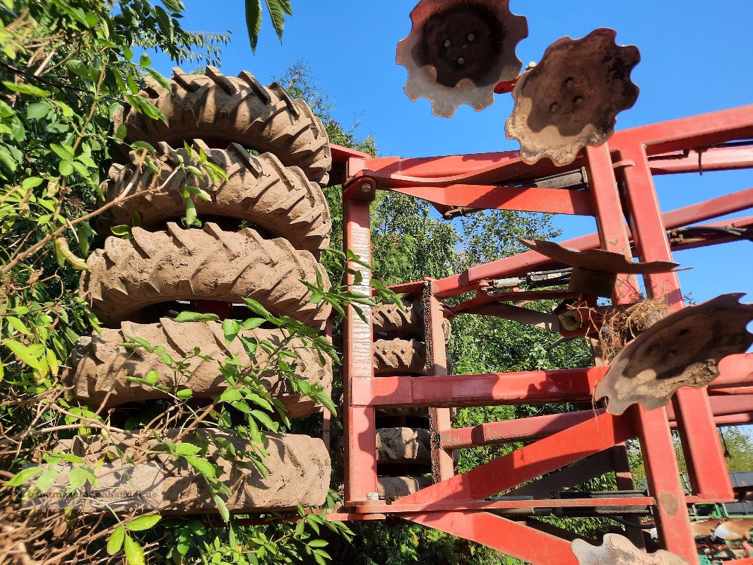 Grubber van het type Horsch Tiger 6 AS, Gebrauchtmaschine in Burg/Spreewald (Foto 7)