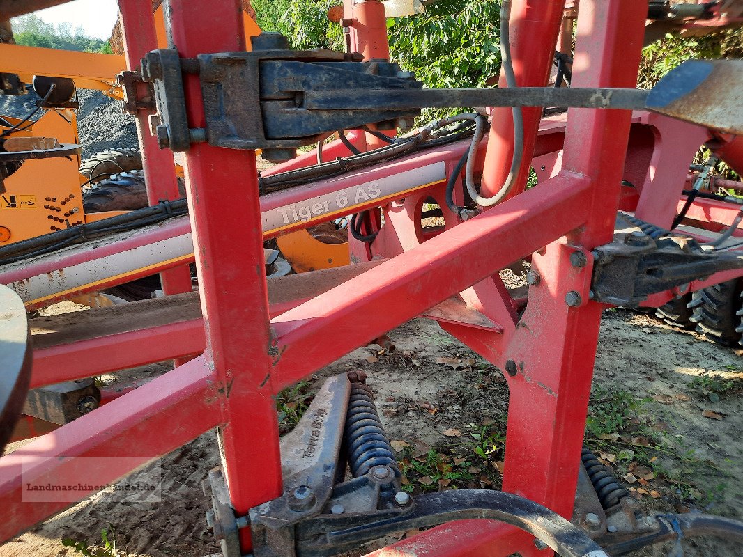 Grubber tip Horsch Tiger 6 AS, Gebrauchtmaschine in Burg/Spreewald (Poză 10)