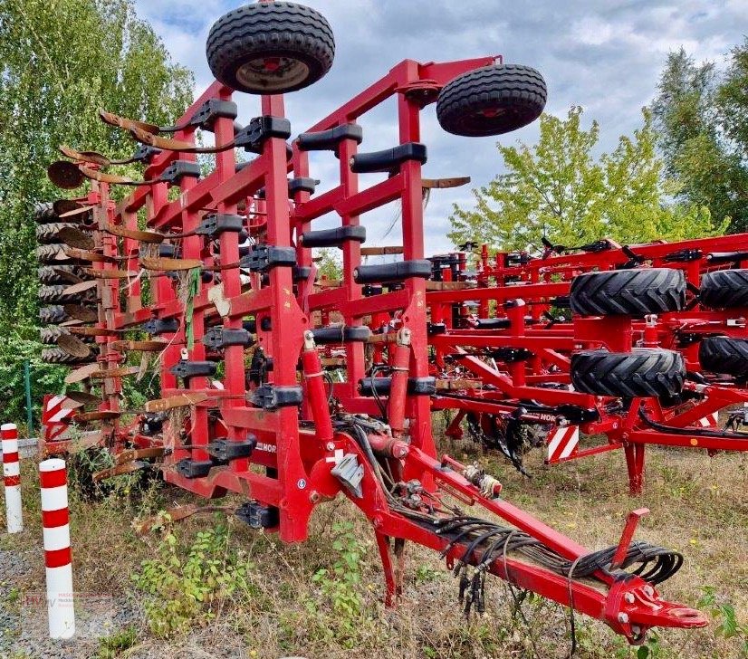 Grubber des Typs Horsch Tiger 8AS Reifenpacker, Gebrauchtmaschine in Neubrandenburg (Bild 1)